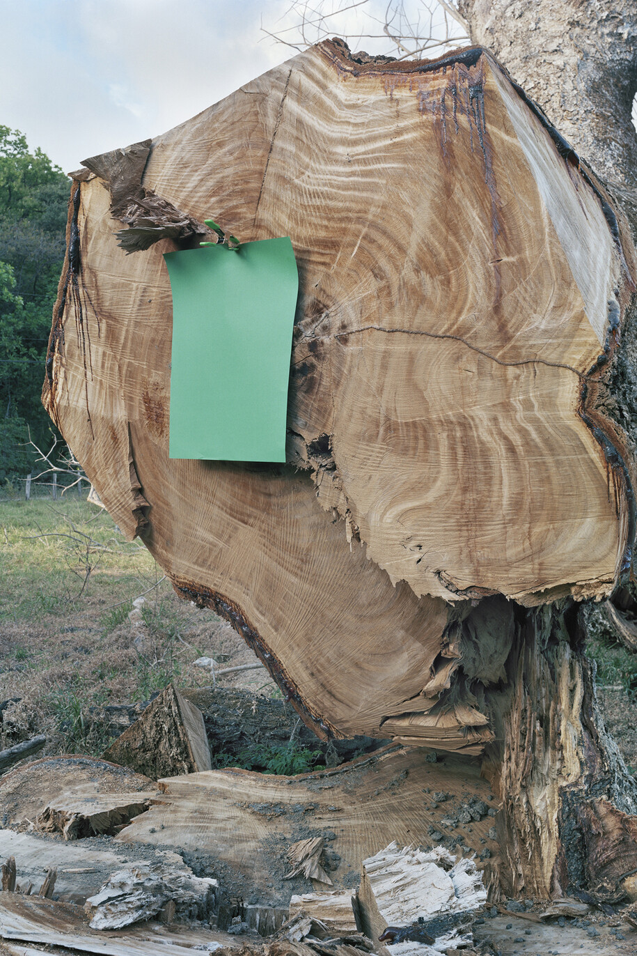 Elizabeth Bishop, 2011. Louise Crane. Near Sámara, Costa Rica, Archival pigment print, printed 2015, 30 x 24 inches, Edition of 5, 2APs
RWFA