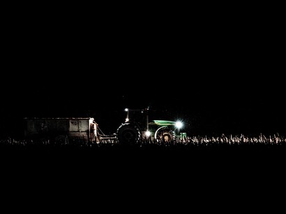 Los riesgos de la noche