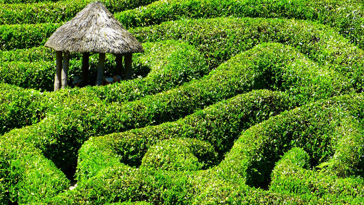 Laberinto en verde