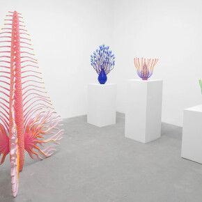 Sarah Ippolito, Liquid realm, exhibition view. Courtesy of VSF Gallery