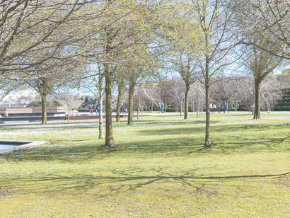 La chica muy amable nos explicó que su perro Coco tenía un problema de salud, que le habían diagnosticado narcolepsia con episodios de cataplejía