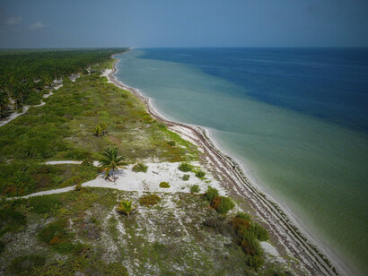 Nature’s quiet grandeur along the Yucatán shore echoes the timeless pull of cenotes and temples waiting beyond the tourist trail