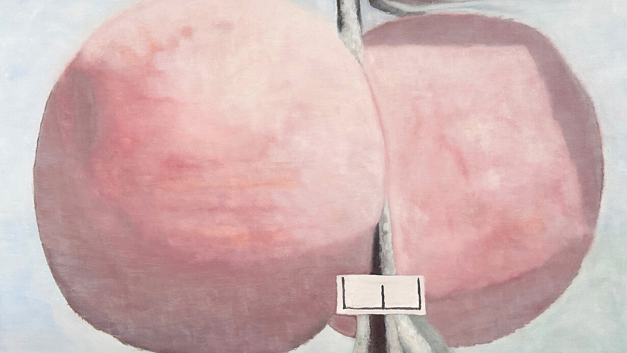 Mantas Platūkis, Identification (apples) (detail), 2025. Courtesy of Pamėnkalnio Gallery