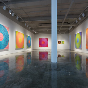 Oculus, installation