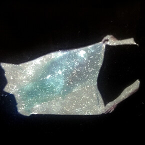 Johanna Reich. Courtesy of Priska Pasquer