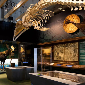 In other words, Québec, exhibition view. Courtesy of Musée de la civilisation