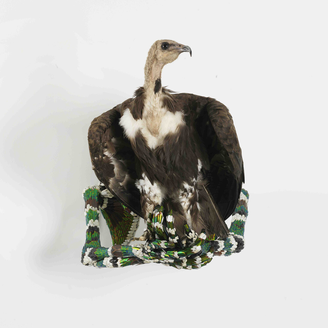 Jan Fabre, Le pillard sur l'échafaud (2013) (Série : Vogelsculpturen), Jewel beetle wing-cases, polymers, stuffed bird/ elytres de scarabées, oiseau, empaillé, matières polymères, 55 x 53 x 77 cm © Angelos bvba. Photographe : Lieven Herreman