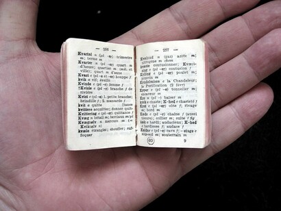 Diccionario de tamaño reducido