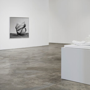 Reza Aramesh, Fragment of the selfFragment of the self, exhibition view. Courtesy of Night Gallery