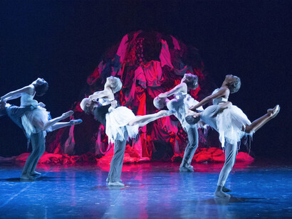 Il lago dei cigni. Foto Gabriele Orlandi