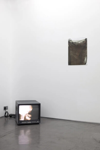 Barbara Hammer, Strip to the bones, exhibition view. Courtesy of Galerie Derouillon