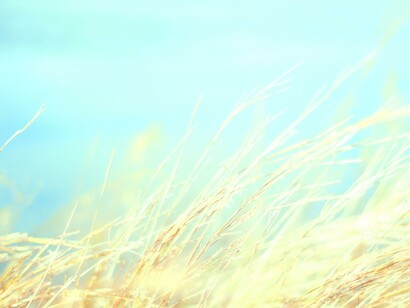 Encontrarse a sí mismo