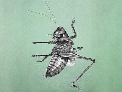 Vittorio Guida, To believe, to know, to be, 2019
