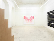 Upside Down Inside Out Back to Front. Courtesy of Galerie Krinzinger