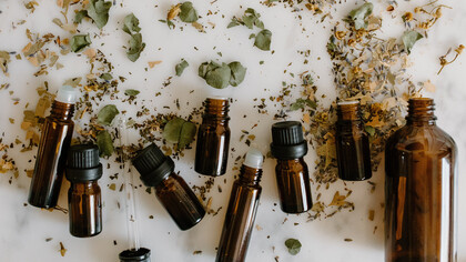 Plantes médicinales. Les plantes médicinales ont donc été utilisées depuis des millénaires pour traiter diverses maladies et plus largement tous les troubles de la santé