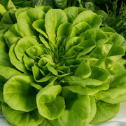 Fruit Logistica 2018. Courtesy of Berlin ExpoCenter City and City Cube