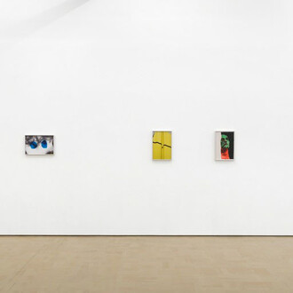 Viviane Sassen. Courtesy of Stevenson