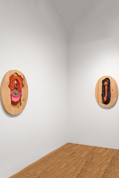 Jesse Harrod, Pet trade, exhibition view. Courtesy of Fleisher/Ollman