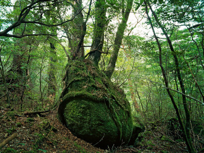 Unwired. Courtesy of Benrubi Gallery