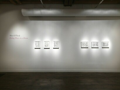 Hiding Places in a Dream, Exhibition view. Courtesy of Linda Warren Projects