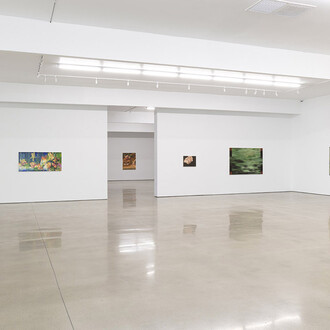 Various artists, Soft focus, exhibition view. Courtesy of The Hole 