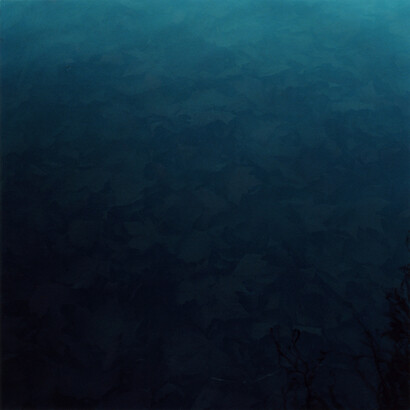 Lydia Goldblatt, Submerged, 2010-2013, Chromogenic print, 20 x 20 inches, edition of 6