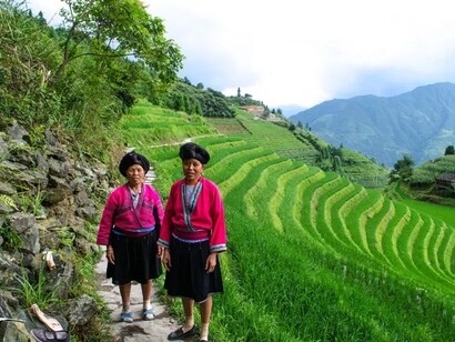 Uno dei punti essenziali del piano di crescita era quello di aumentare in modo esponenziale la produzione agricola di alcune specie vegetali fondamentali, come il riso
