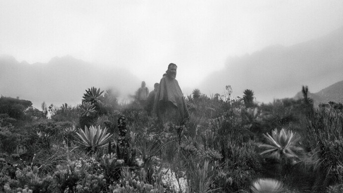 Vereda La Nevera es una zona en el Valle del Cauca, Región del Pacífico y tiene una altitud de 2.465 metros. Vereda La Nevera se encuentra cerca de la localidad de El Salado, así como de El Socorro, Colombia