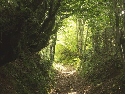 No hay peor engañado que, quien se cree su propio engaño