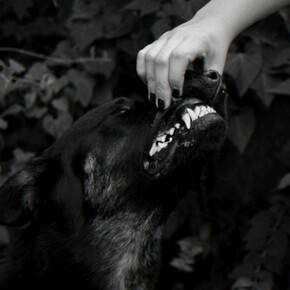 Crux. Courtesy of Kopeikin Gallery