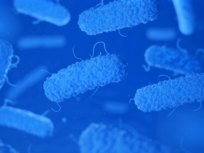 La nueva vacuna contra la COVID-19 de la casa Pfizer-BioNTech, es obtenida de modificación de la bacteria E. coli