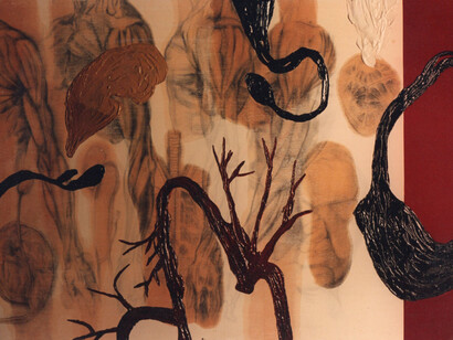 Miguel Hernández Bastos; Estudios anatómicos, 1996 (detalle)