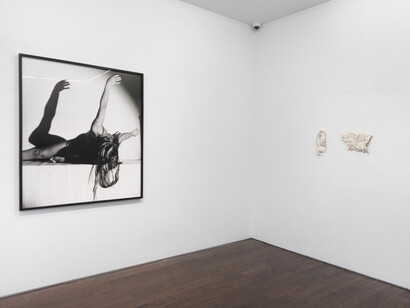 Artistes divers, Clairvoyant, vue d'exposition. Avec l'aimable autorisation de la galerie Ceysson et Bénétière