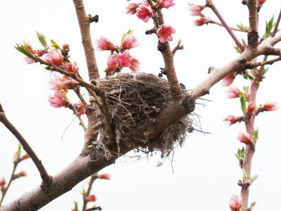  Dove la vita ha inizio