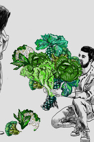 Lesya Bilenko, Cabbage
