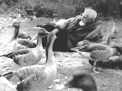 Konrad Lorenz è considerato il fondatore della moderna etologia