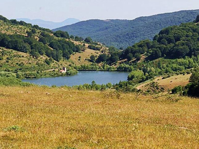 Scorcio nebroideo. Foto di Gino Fabio