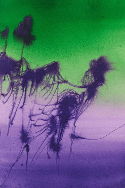 David Roth, Untitled (Flower painting V020_24), 2024. Courtesy of Dürst Britt & Mayhew