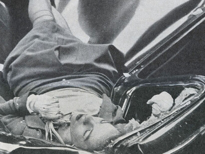 Evelyn McHale, "el suicidio más hermoso"