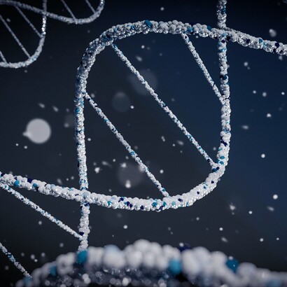 L’archeogenetica ha rivoluzionato la nostra comprensione delle origini umane, offrendo nuove prospettive sulle connessioni tra antiche popolazioni
