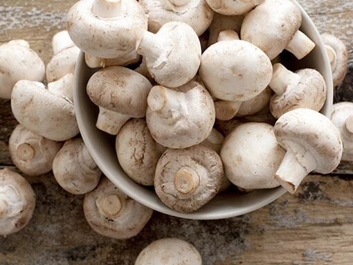 Funghi champignon freschi