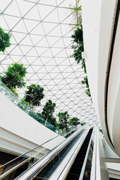The interior of the airport features a green, sustainable design, highlighted by large windows and bioclimatic elements that enhance its eco-friendly appeal