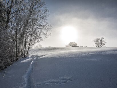 Path through the Snow © Michael Stillwater