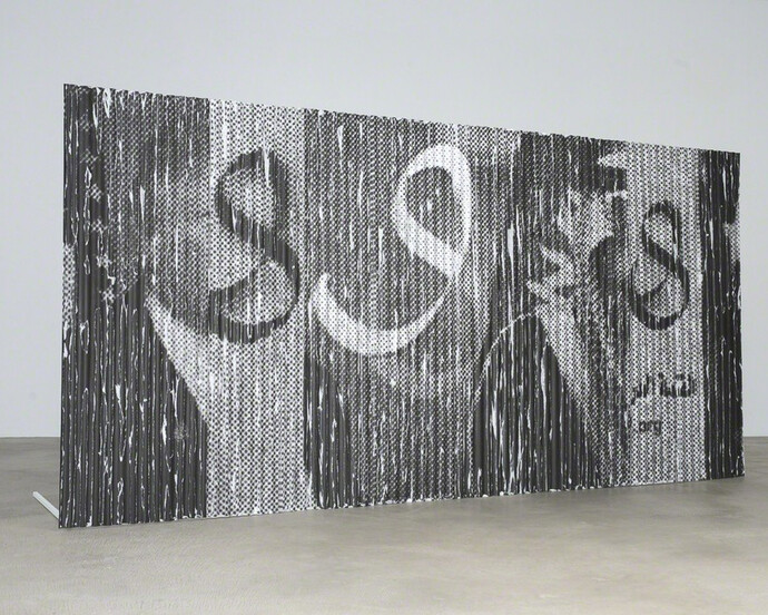 Sreshta Rit Premnath. Courtesy of ACE Gallery 