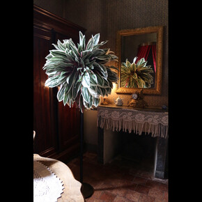 Utopia Botanica. Courtesy of Laure Roynette Gallery