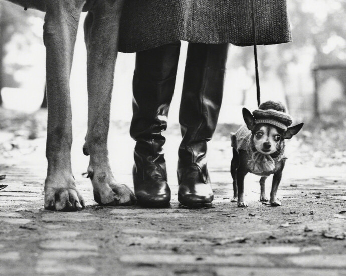 New York City, USA, 1974 © Elliott Erwitt / Magnum Photos courtesy Huxley-Parlour Gallery