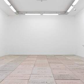 Iván Argote, View of the exhibition Deep Affection by Ivan Argote Perrotin Paris. Photo: Claire Dorn © Iván Argote / ADAGP, Paris 2018