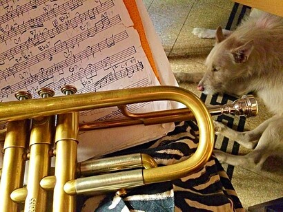 In Search of Memories