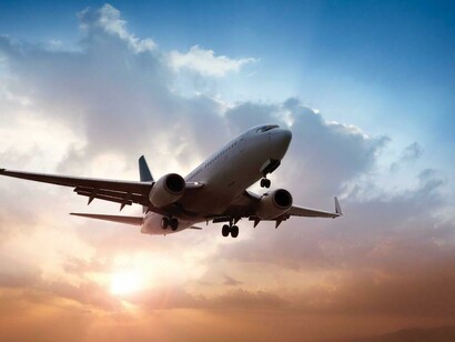 The Earth Pledge: I will not travel by plane