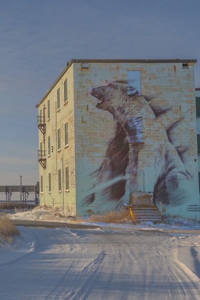 Murale con orso polare a Churchill, Manitoba